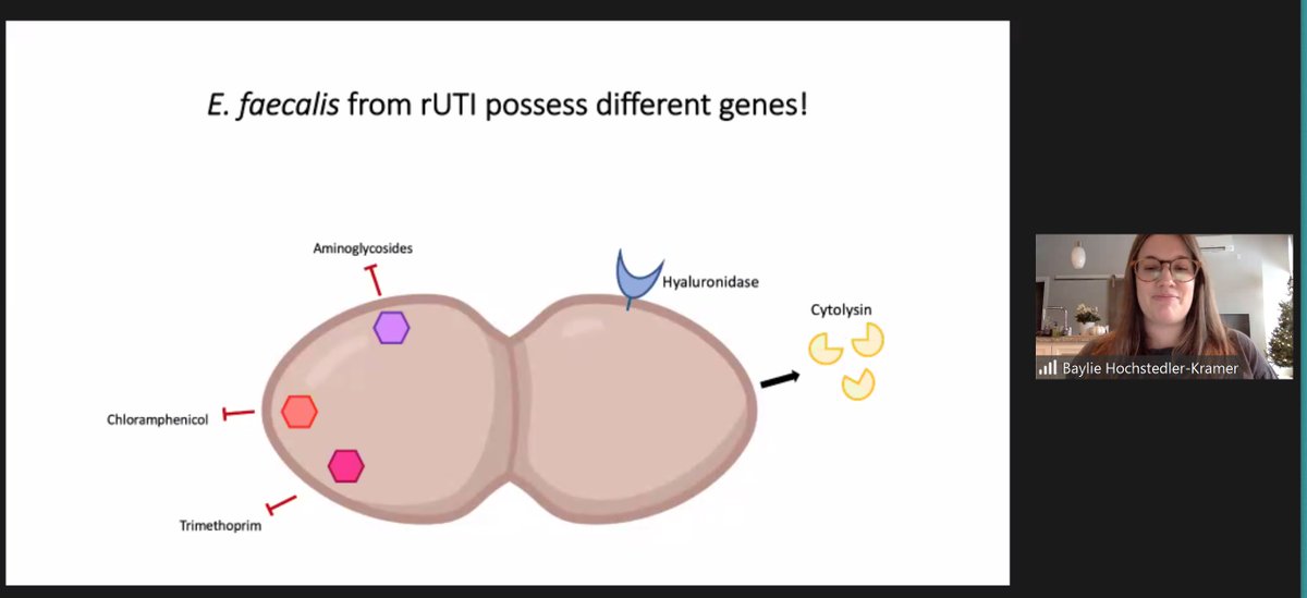 We had flash talks by BIIG members and collaborators sharing exciting research!  

Dr Catherine Chieng, immunology fiend! @ccyun_c 
Dr Natasha Liou, machine learning enthusiast <a href="/NSYL3/">Natasha Liou</a> 
Trina De of CASUS, mathematical whiz!
Baylie Hochstedler of Loyola, host-microbe expert