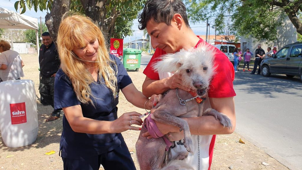 Municipalidad Salta tweet media