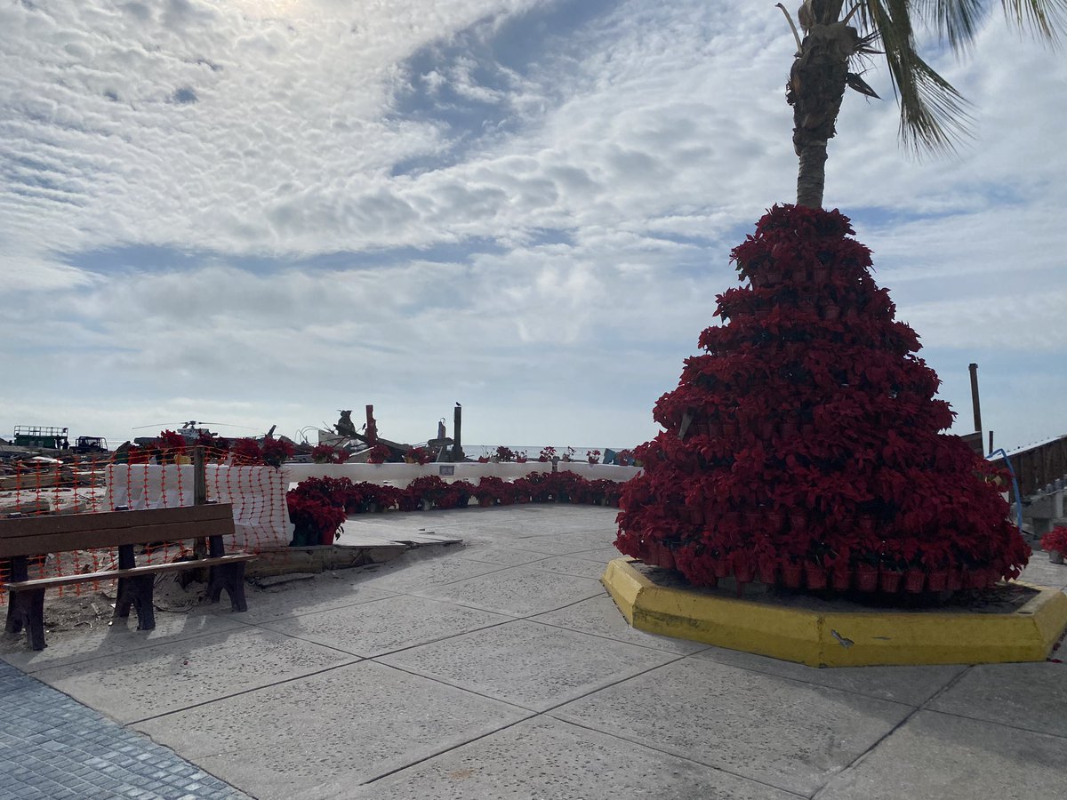 Christmas on Fort Myers Beach-

Piles of rubble where homes &amp; businesses once stood still remain, but the cleanup process continues. A small tree in the middle Time Square sends a power message of the resiliency of this community. 🤍