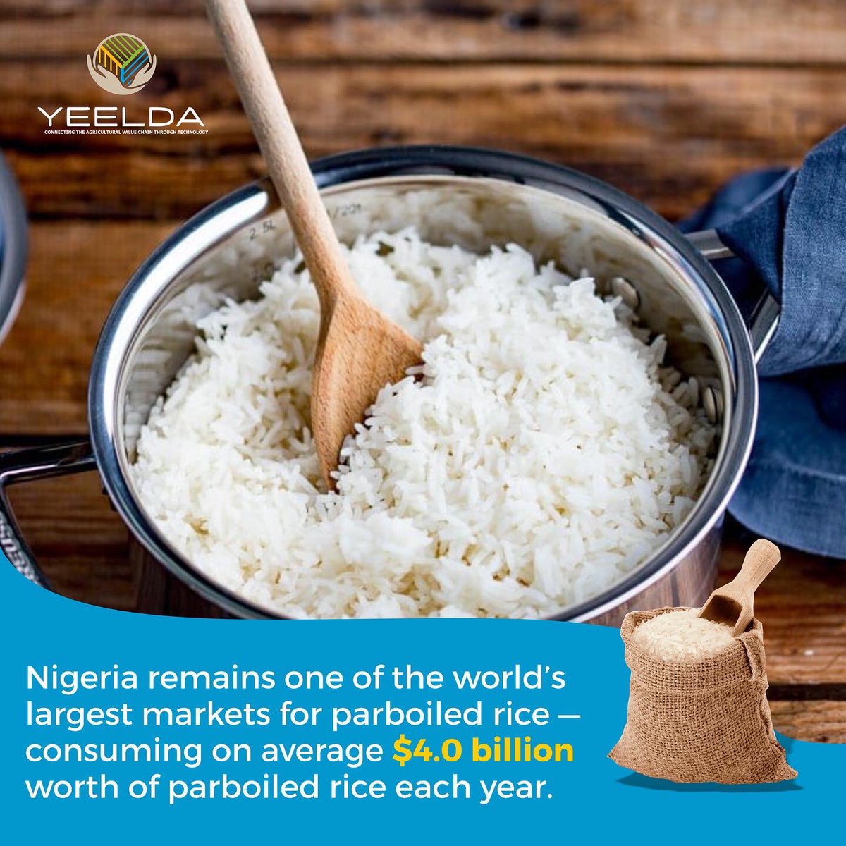 yeelda_africa's tweet image. As much as Nigeria produces a lot of rice, we also import a lot of rice. 

Parboiled rice is one of Nigeria’s most imported food products. 

#importedfoods #parboiledrice #rice #agriculturalimports #yeeldaafrica #yeelda