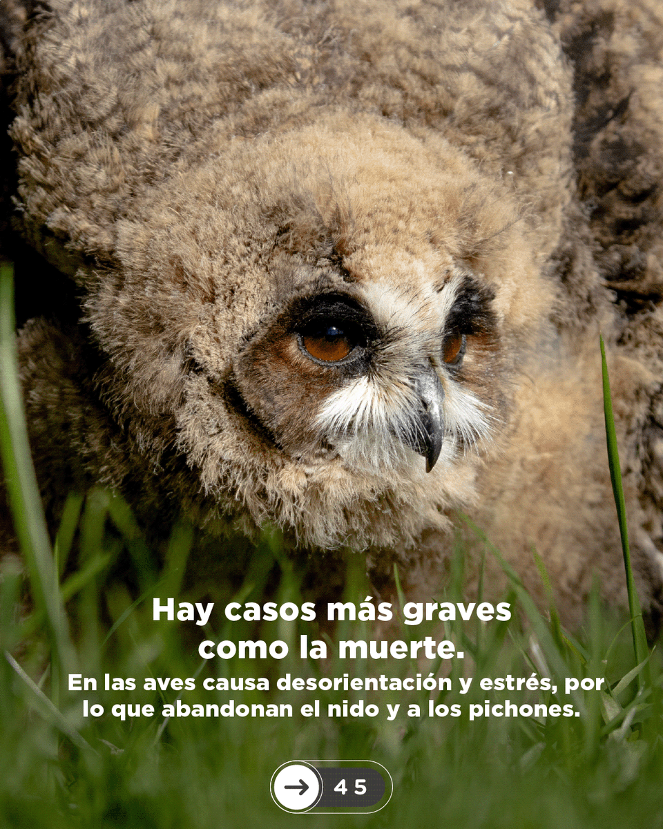 EcoparqueBA tweet media