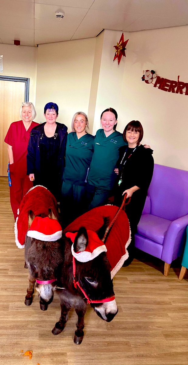 Bryngolau Ward PPH🌈👩🏼⚕️ tweet media