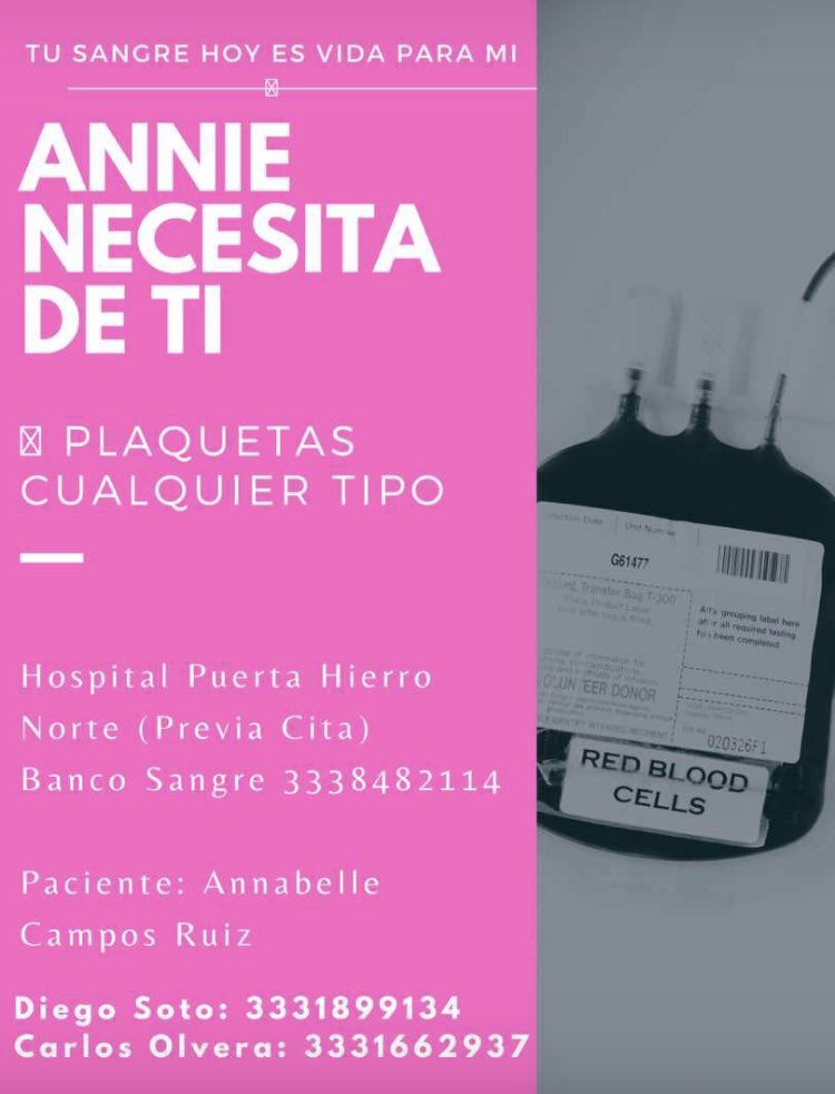 Pabletto81's tweet photo. Me pueden ayudar a compartir por favor 🙏🏻 @Trafico_ZMG @quierotv_gdl @TVAztecaJalisco @nmas @Notisistema @NARIZROJAAC @Los40Gdl @Planeta_GDL @MAURAZZOTV @Nohagasiriss @julesvaca @_KarinaAngulo @Susyalmeida1 @DiazdeleonEdith @AmorEnTuRadio https://t.co/V6eLDnNa8v