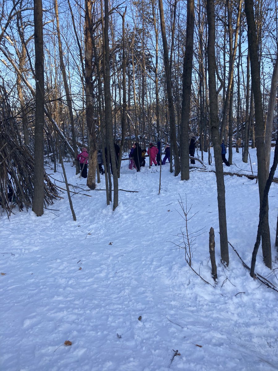 A perfect day yesterday for our last forest walk. The grade 4s have loved having this space to learn and explore while at our temporary site at DA Moodie .  Snow angels, sunshine, snow and smiles at Shingwakons PS  <a href="/OCDSB/">OCDSB</a> <a href="/ShingwakonsPS/">Shingwàkons Public School</a>