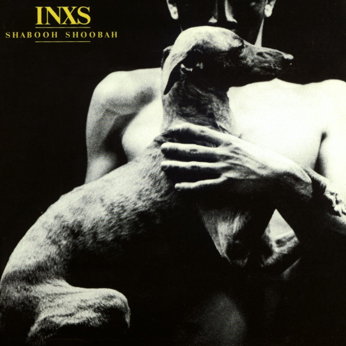 INXS tweet media
