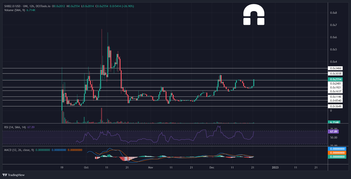 🦎🦎misscryptodragon🦎🦎 tweet media