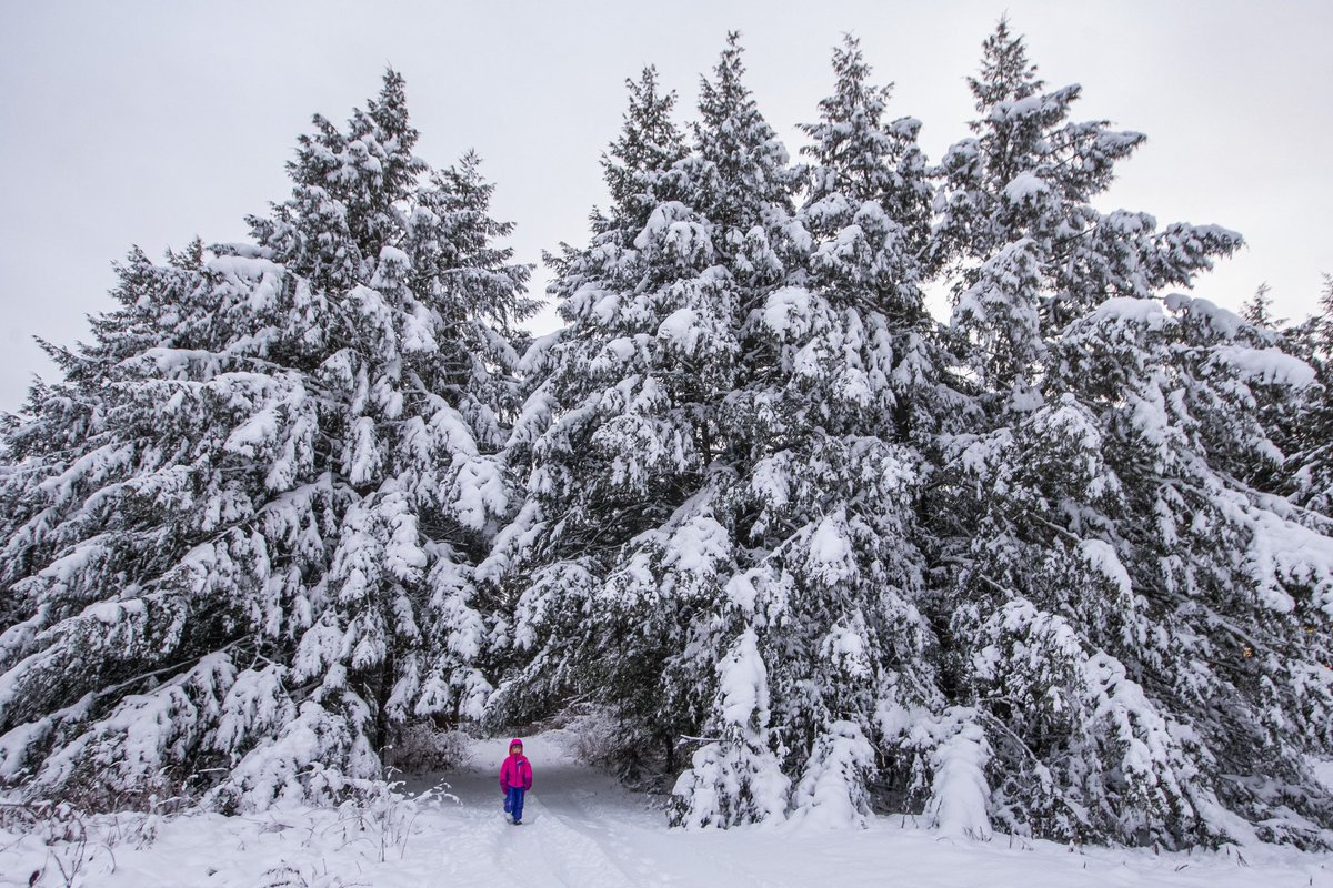 My 5yo wanted to go for a nice winter hike on the winter solstice. (Northern Vermont)