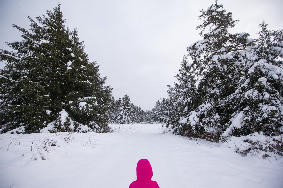 Robert Franklin tweet media