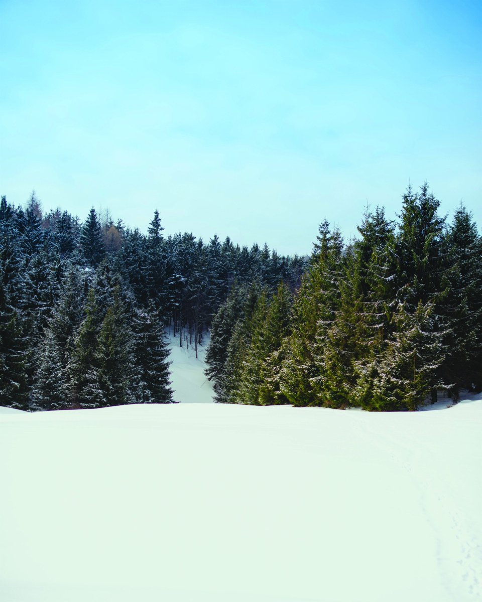 Excited to share the latest addition to my #etsy shop: Winter Print, Wall Art, Landscape Photography, Teal Decor, Winter Photography, Digital Download, Romania etsy.me/3YEc78t #unframed #entryway #artdeco #landscapescenery #vertical #winter #landscape #print