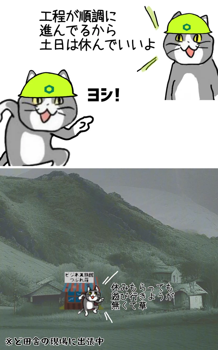 ド田舎に出張の現場猫！せっかくの休みでも遊べない！！