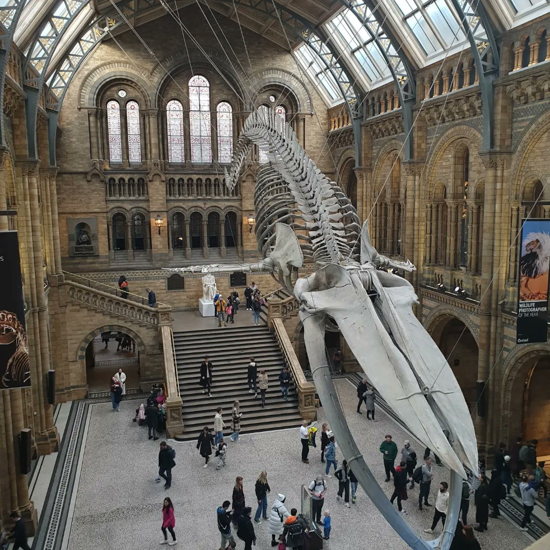 First 3 months with <a href="/London_NERC_DTP/">The London NERC DTP</a> complete - project proposals submitted and time for a break!

Getting to spend every friday <a href="/NHM_London/">Natural History Museum</a> for skills training was a dream... but this wonderful bunch of humans has been the highlight for sure!

Roll on the next 3.5 yrs!?