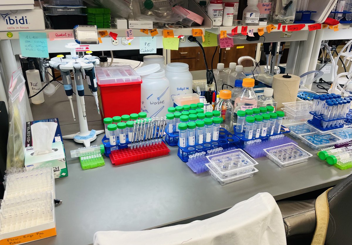 I thought this was worth sharing. One of our really orginized and talented postodcs ⁦<a href="/PiccoloEnzo/">Piccolo Enzo</a>⁩ is prepped for tomorrow’s BIG experiment. Awsome. I was never that good :) ⁦<a href="/thorplab/">EdT</a>⁩