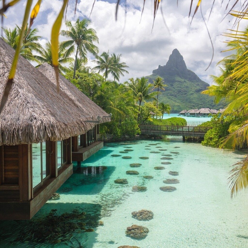 IC French Polynesia tweet media