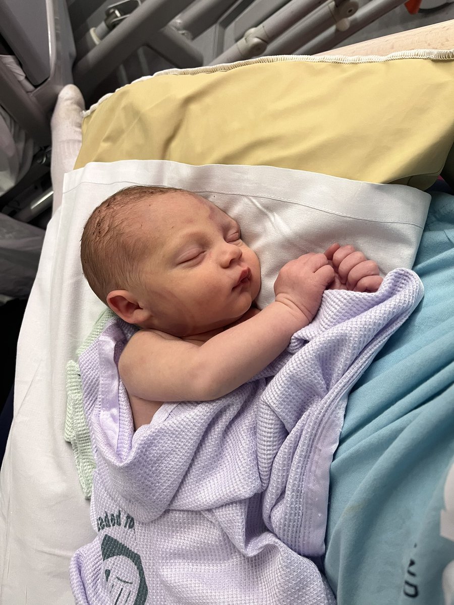 Connor Smythe tweet media