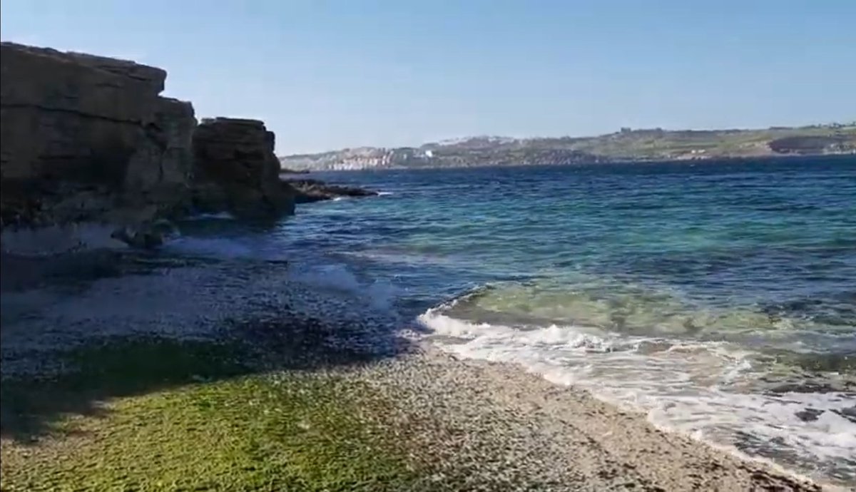 Living in Malta tweet media
