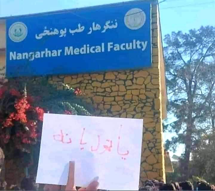 JSez10's tweet photo. یا همه یا هیچکس!
#StopHazaraGenocide 
#LetTheGirlsStudy https://t.co/IZQOp76IoN