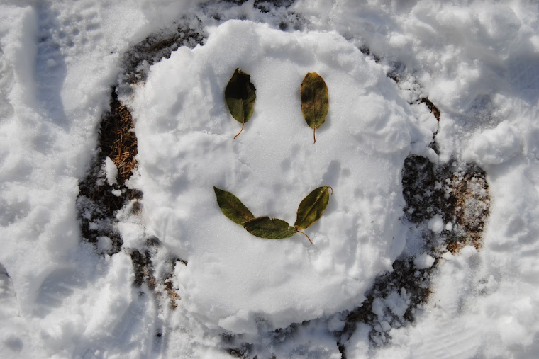 Le 21 décembre, nous avons une journée chandail de Noël pour célébrer la dernière journée d'école.
Venez avec votre pull le plus laid pour votre dernier jour!
C'est une journée qui nous met toujours dans une ambiance festive de Noël. Trop cool !!!