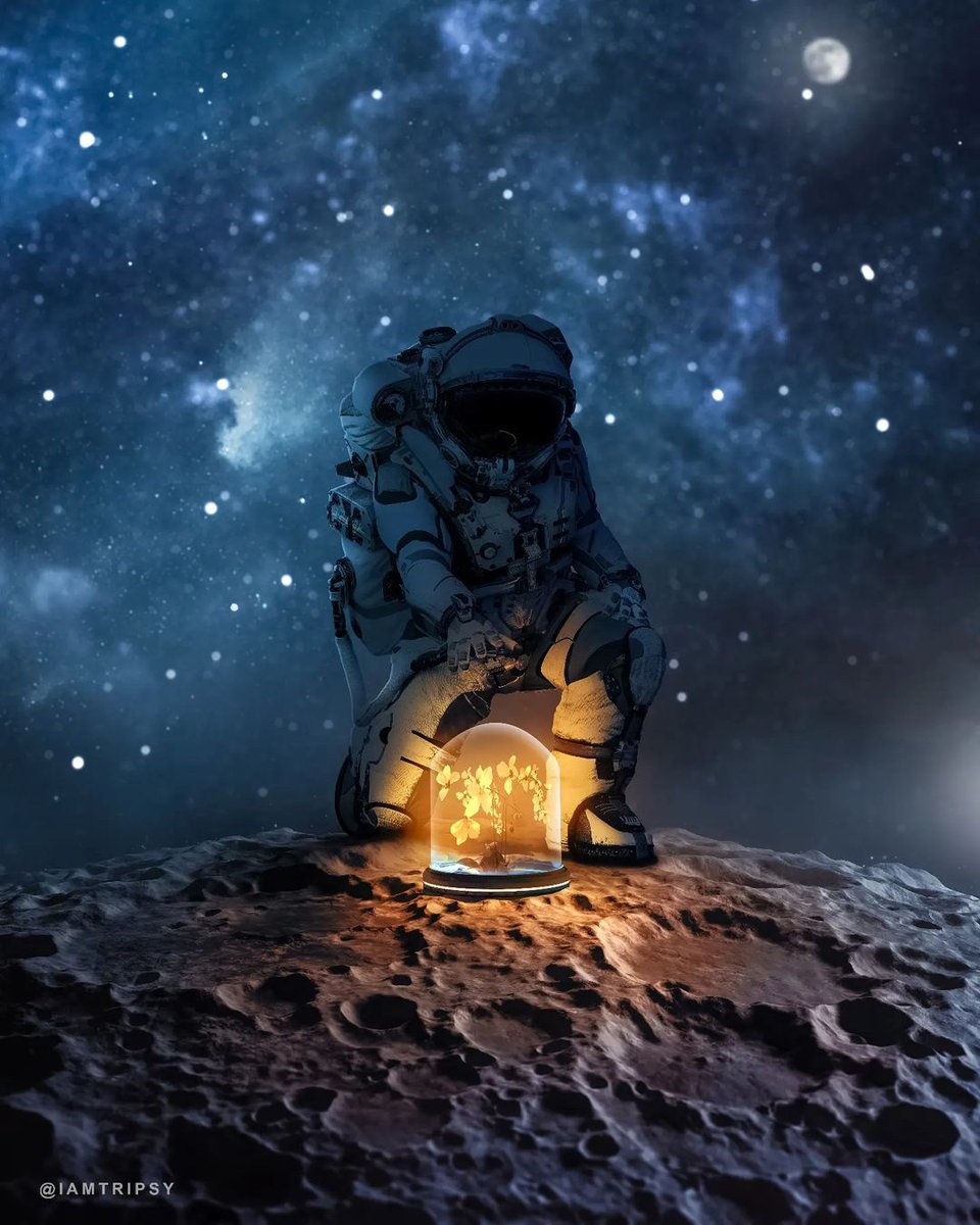 A beautiful space story by <a href="/iamtripsy/">Derrick Pappoe</a> featuring an astronaut from Shutterstock and a plant from PixelSquid. #spaceart #scifiart