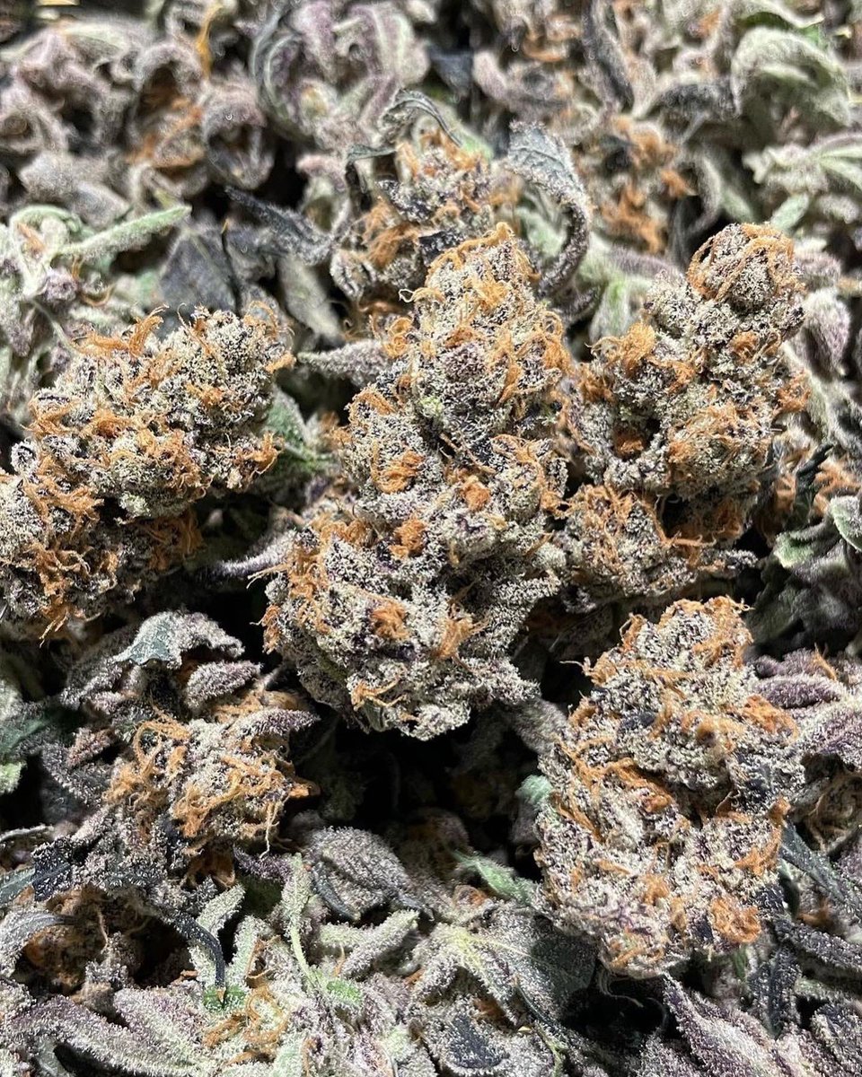 Star_Buds_OK's tweet photo. RUNTZ from Heritage Cultivation Company. Come swing by our stores. https://t.co/wZ0wB62j5F