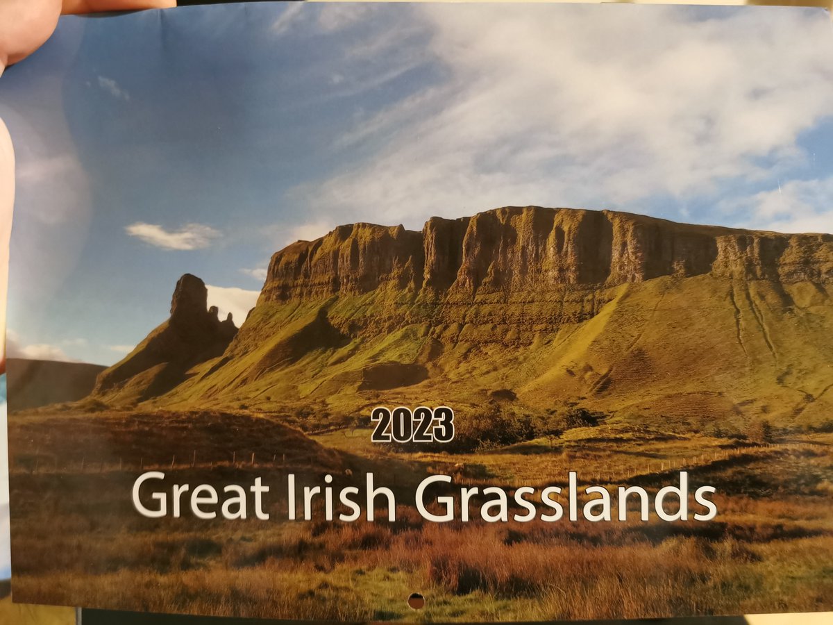 Delighted to get my #greatirishgrasslands calendar. Fantastic photos of grassland flora & fauna. Great stuff! @GrasslandsIrl @phoebeob1