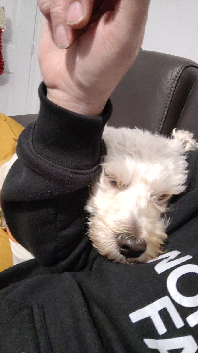 Doogle49810249's tweet photo. Cozy nights with dad https://t.co/M9jwoIIHyc
