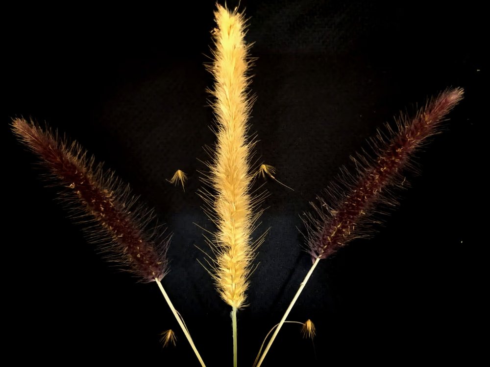 hammer.1717

a hand painting that took 2 months to complete, a unique realistic painting, composed of oil paint and also ballpoint pens.

 now on the blockchain, by the currently listed ethereum network, artist's representation of the 1717 mallet.

art realistic  (1000) ETH 💎