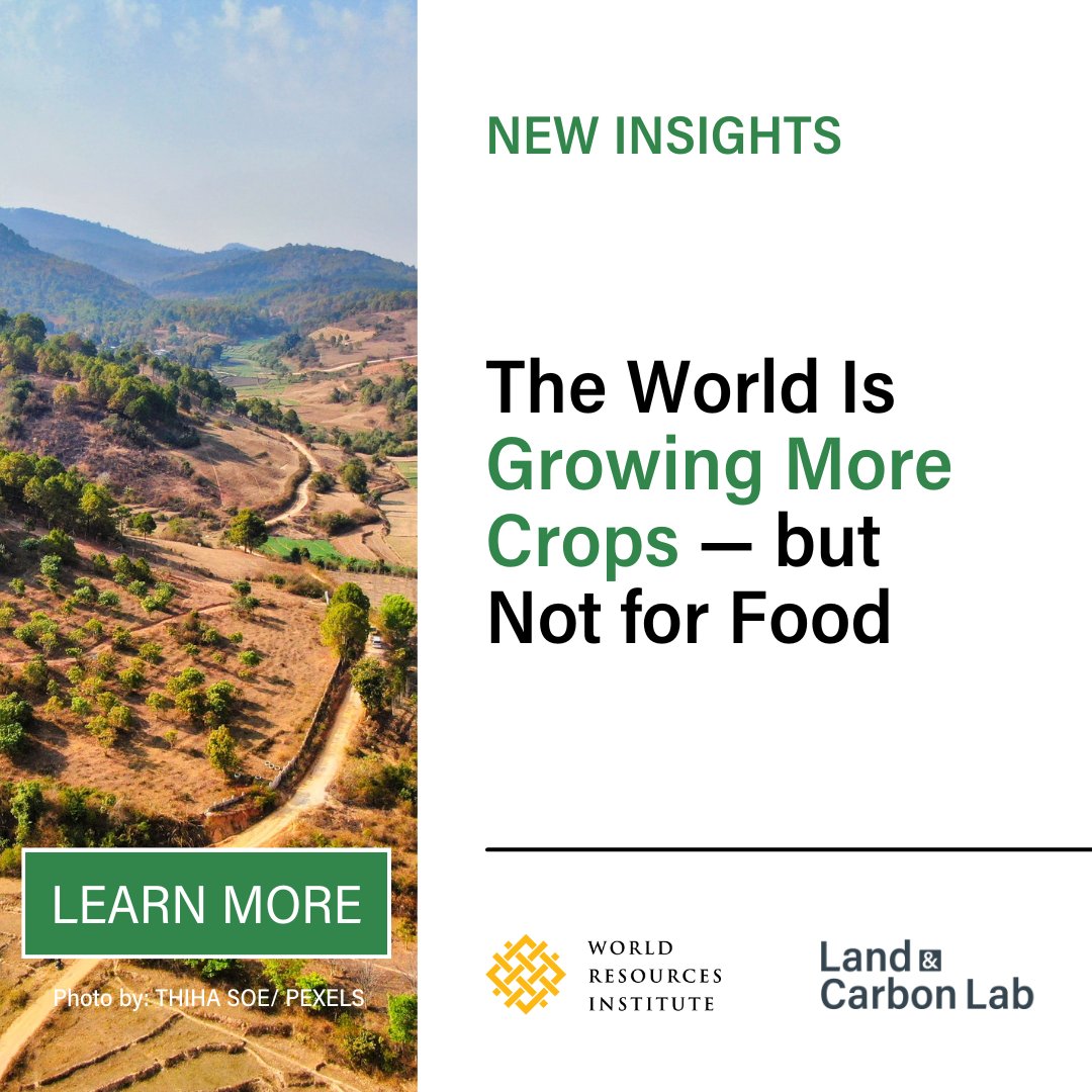 WorldResources's tweet photo. Cropland is expanding, but less than half of this land directly feeds us: only 37% of the harvested area of major crops is used for foods that are produced and consumed domestically. The rest goes to exports, processing, industry, or other uses. https://t.co/cLwZimo0PK https://t.co/bSHIfq5LE6