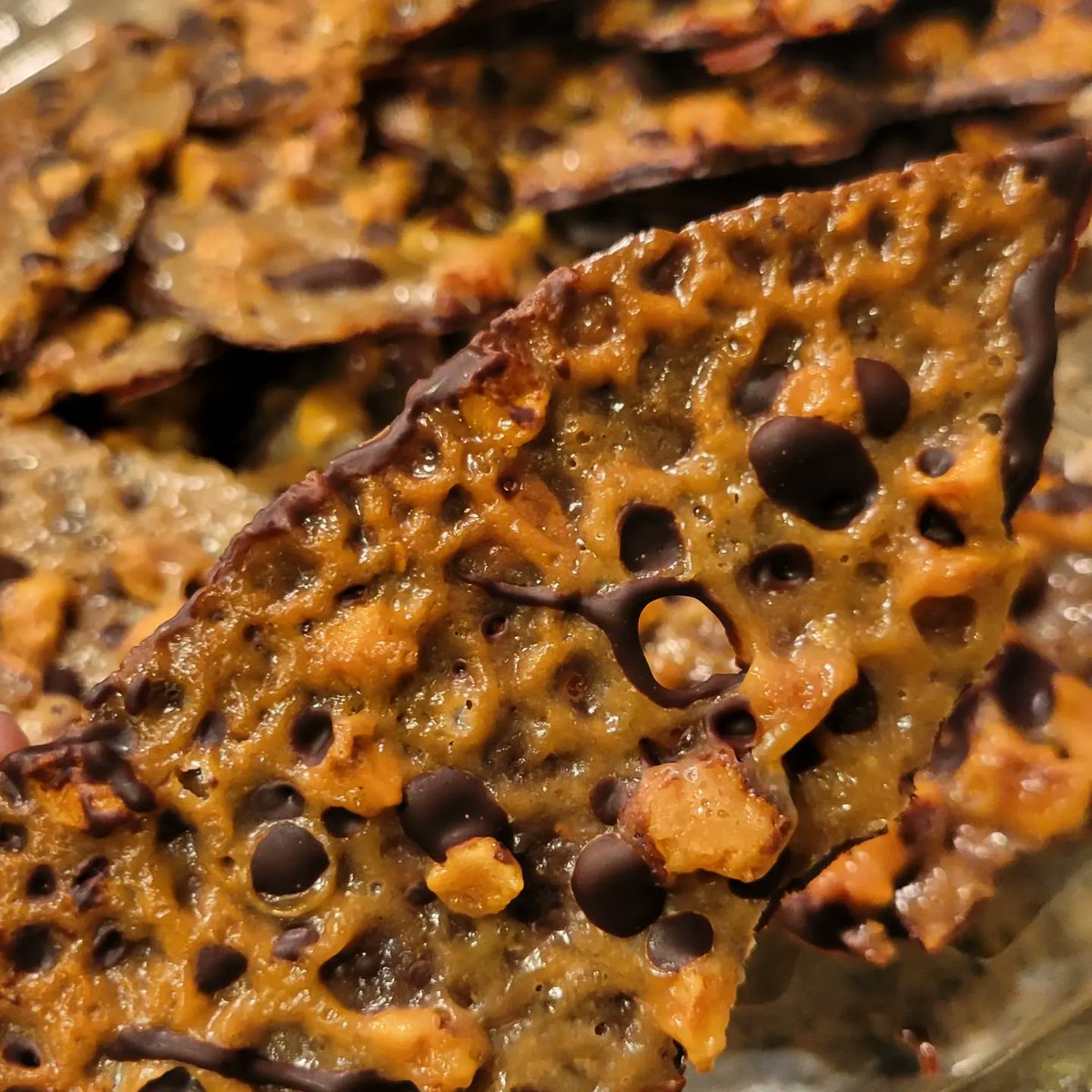 BbBroomfield's tweet photo. Our Cookie Countdown continues with the latest #BakeOfTheWeek - Free-Form Hazelnut Florentines!
These Hazelnut Florentines are light and lacy, with just the right amount of sweet and nutty flavor. The dark chocolate coating on the bottom makes them a perfect holiday treat! https://t.co/ewmzoOTqSv