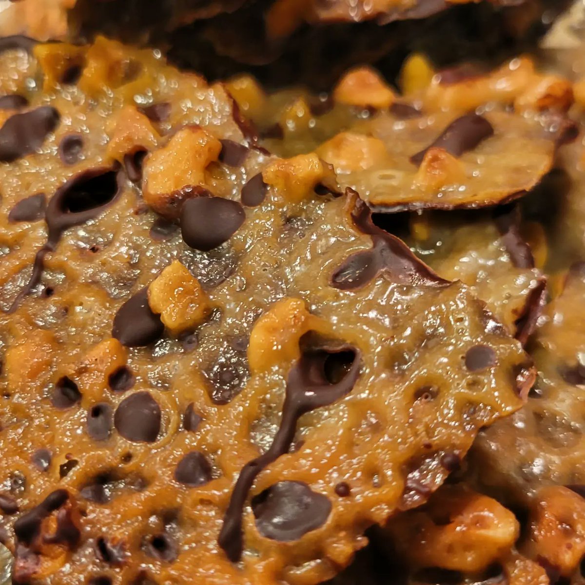 BbBroomfield's tweet photo. Our Cookie Countdown continues with the latest #BakeOfTheWeek - Free-Form Hazelnut Florentines!
These Hazelnut Florentines are light and lacy, with just the right amount of sweet and nutty flavor. The dark chocolate coating on the bottom makes them a perfect holiday treat! https://t.co/ewmzoOTqSv