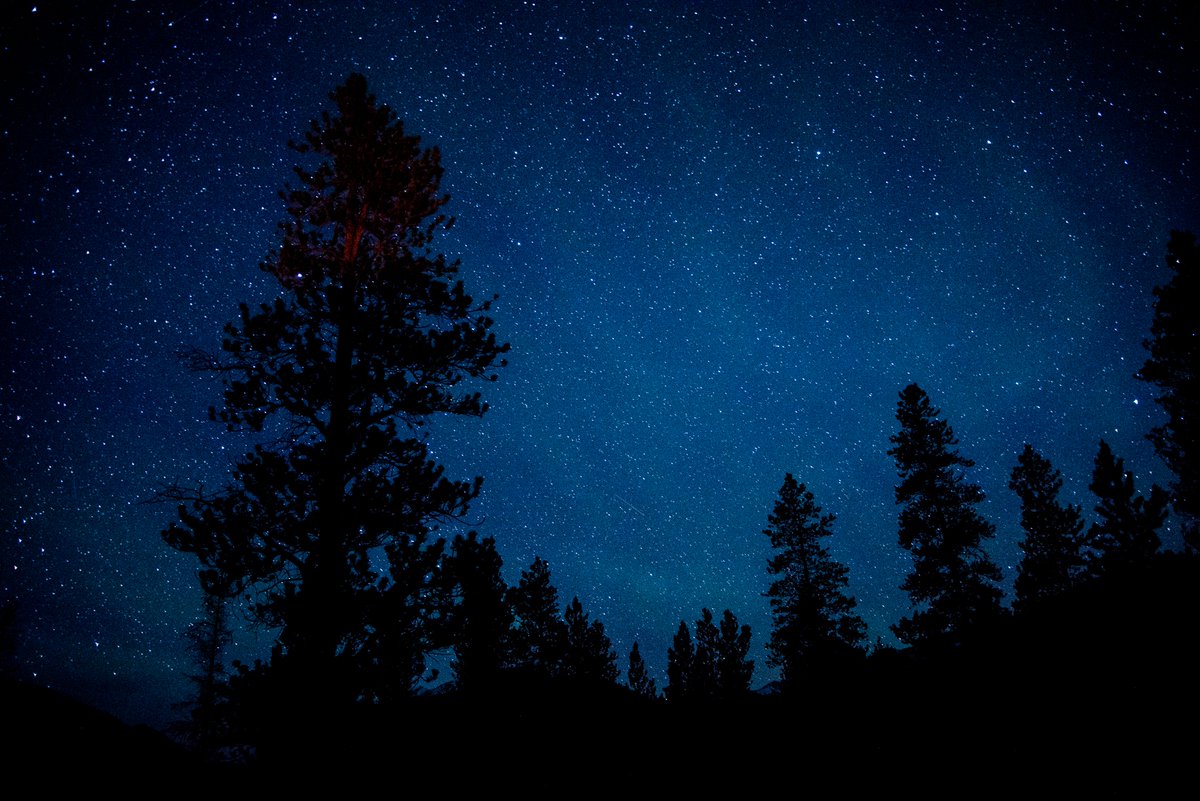 Happy #WinterSolstice! May the coming days be brighter and warmer for all! #COREAct #ThompsonDivide 

📸: Andre Gonsalves/Flickr Creative Commons