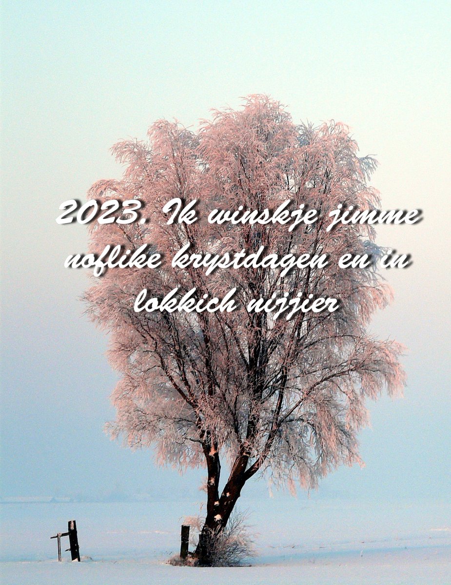 CuperusJ's tweet photo. De beste winsken foar 2023 https://t.co/3vIsAgCGjs