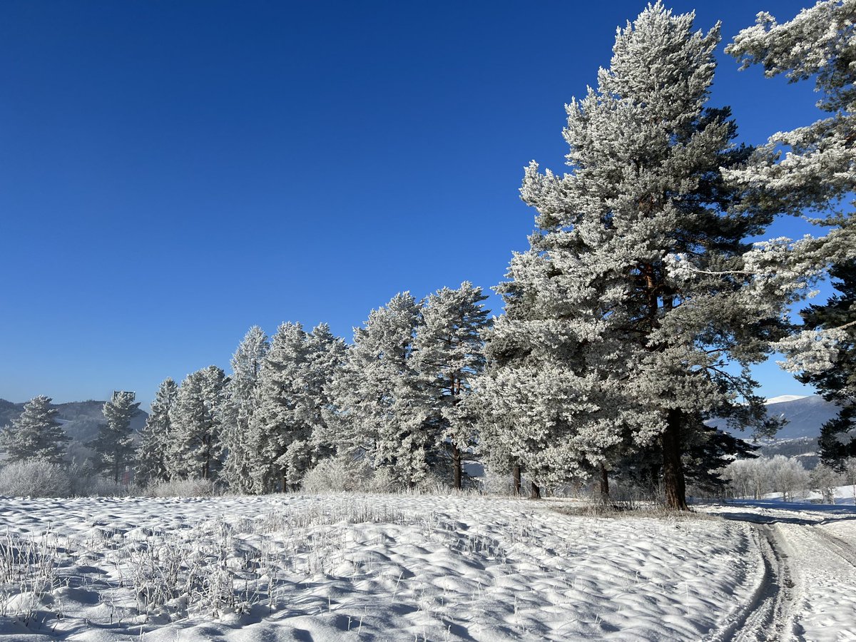 peter sorkovsky tweet media