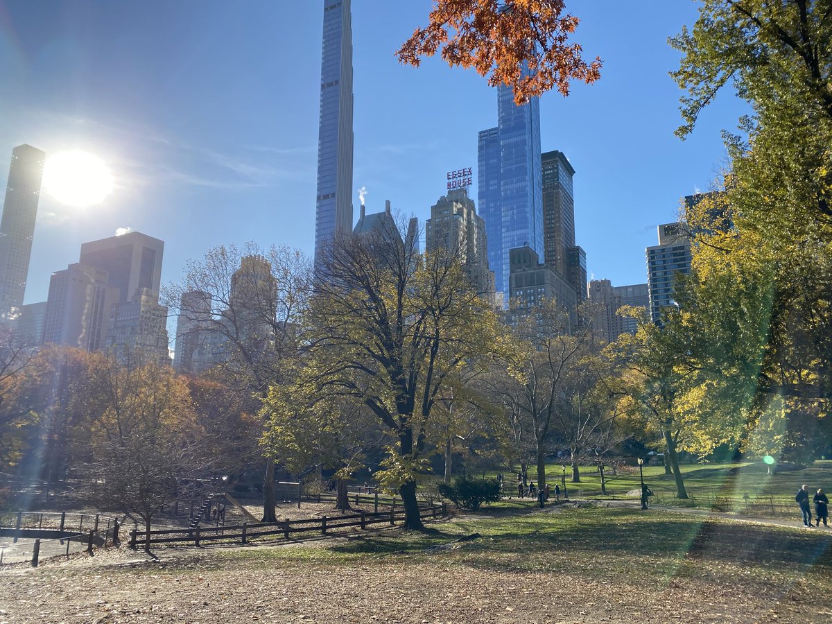 Vinktory's tweet photo. Hace unos días estaba en Central Park paseando 😮‍💨 https://t.co/fn3qIHga1q