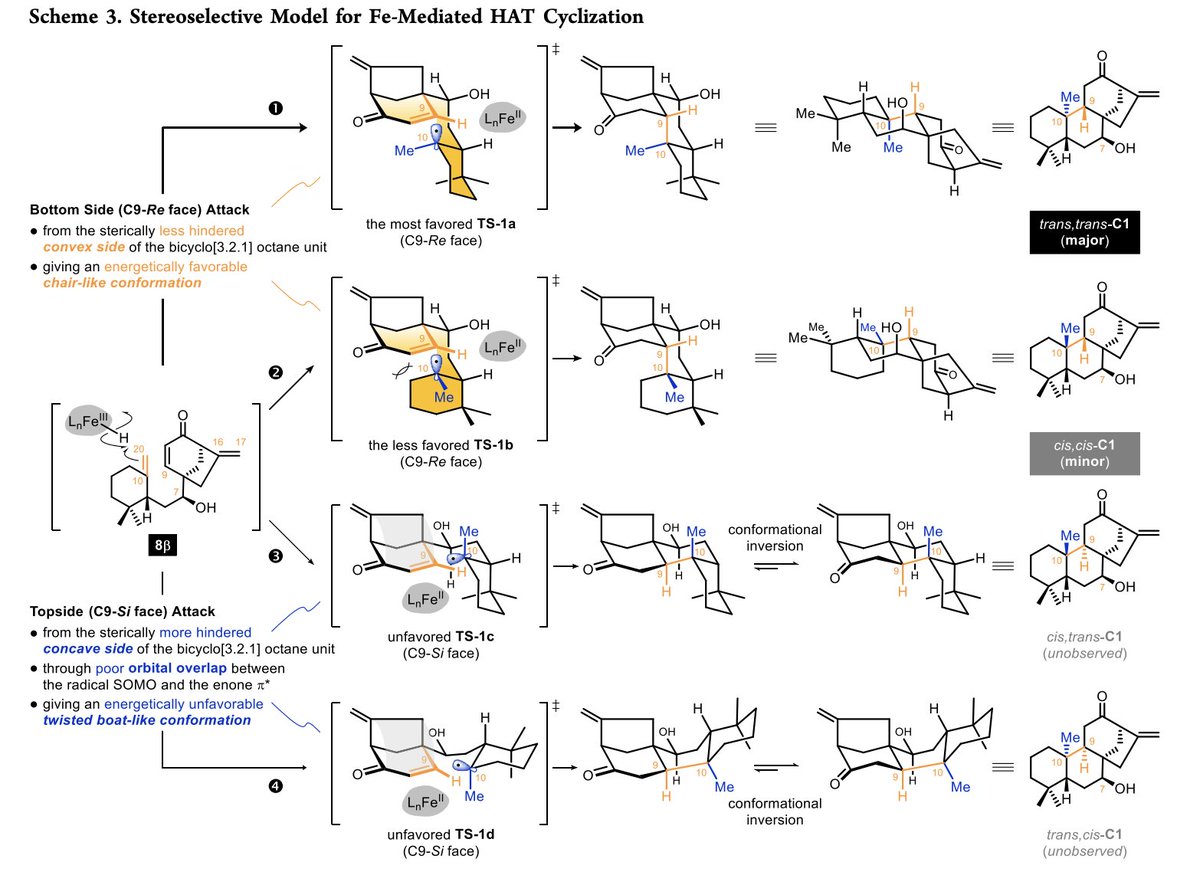 Asymmetric Divergent #Synthesis of ent-Kaurane-, ent-Atisane-, ent-Beyerane-, ent-Trachylobane-, &amp; ent-Gibberellane-type Diterpenoids by X.-H. Zhao, L.-L. Meng, X.-T. Liu, P.-F. Shu, C. Yuan, X.-T. An, T.-X. Jia, Q.-Q. Yang, X. Zhen, &amp; C.-A Fan in <a href="/J_A_C_S/">J. Am. Chem. Soc.</a> pubs.acs.org/doi/10.1021/ja…