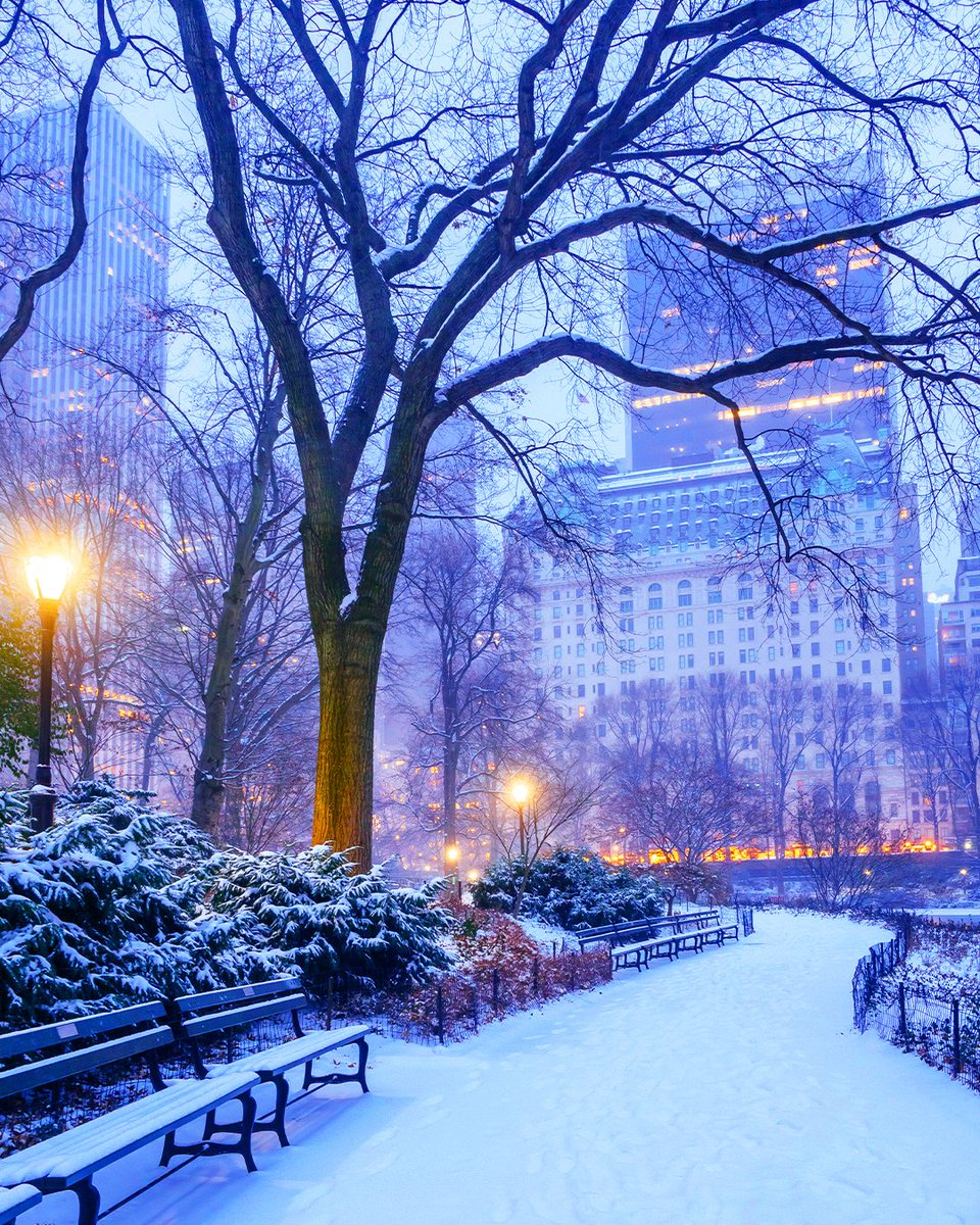 shipgoofficial's tweet photo. Nothing quite like winter in the city! Has it snowed where you live yet? Let us know in the comments.👇

#NewYork #NewYorkForever #NewYorkCity https://t.co/dADnQvPa1Z