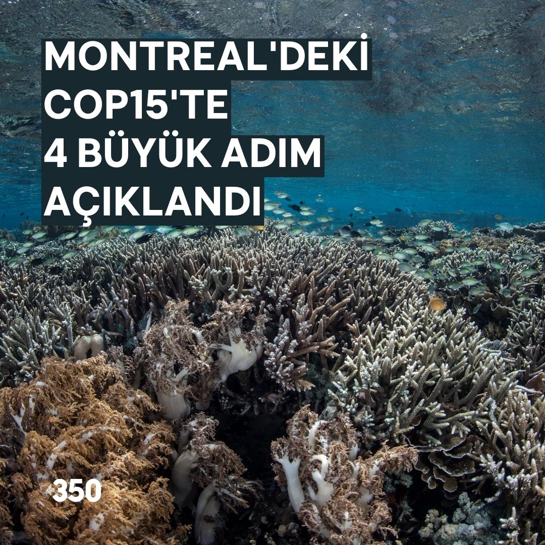 350turkiye's tweet photo. 19 Aralık Pazartesi günü, “biyoçeşitlilik COP’u” COP15’teki hükümetler Montreal – Kunming 2020 sonrası Küresel biyoçeşitlilik çerçevesini kabul etti. https://t.co/NPm2k1C9hI