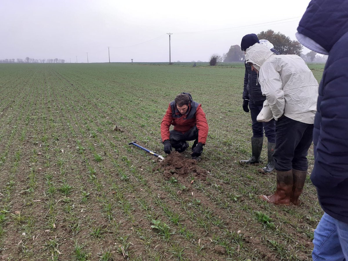 Cerfrance_5372's tweet photo. Formation : Agriculture Biologique de Conservation des sols
👉 Intervention de @JonasLecrosnier 
A lire ➡️https://t.co/UwgmLs5vOQ
👉 Visite d'exploitation : méthode de semis, stratégie de couverture des sols et cultures associées. https://t.co/M6sqIQVM7r