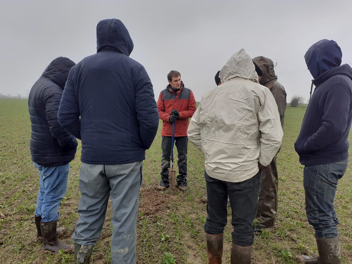 Cerfrance_5372's tweet photo. Formation : Agriculture Biologique de Conservation des sols
👉 Intervention de @JonasLecrosnier 
A lire ➡️https://t.co/UwgmLs5vOQ
👉 Visite d'exploitation : méthode de semis, stratégie de couverture des sols et cultures associées. https://t.co/M6sqIQVM7r