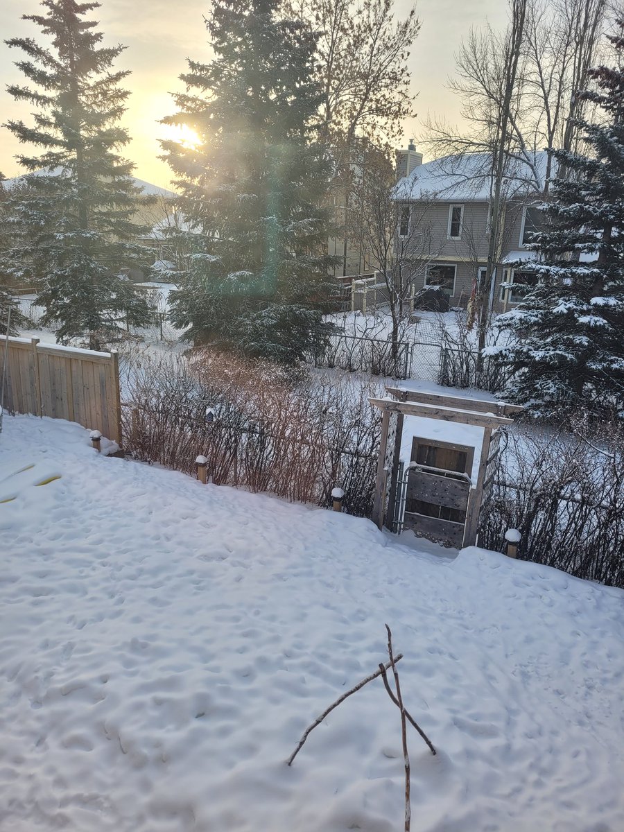 There's a hush outside today. A -30 kind of quiet. A peaceful view from my writing window. 
All is well. 

#canlit #canadianauthors #amwriting