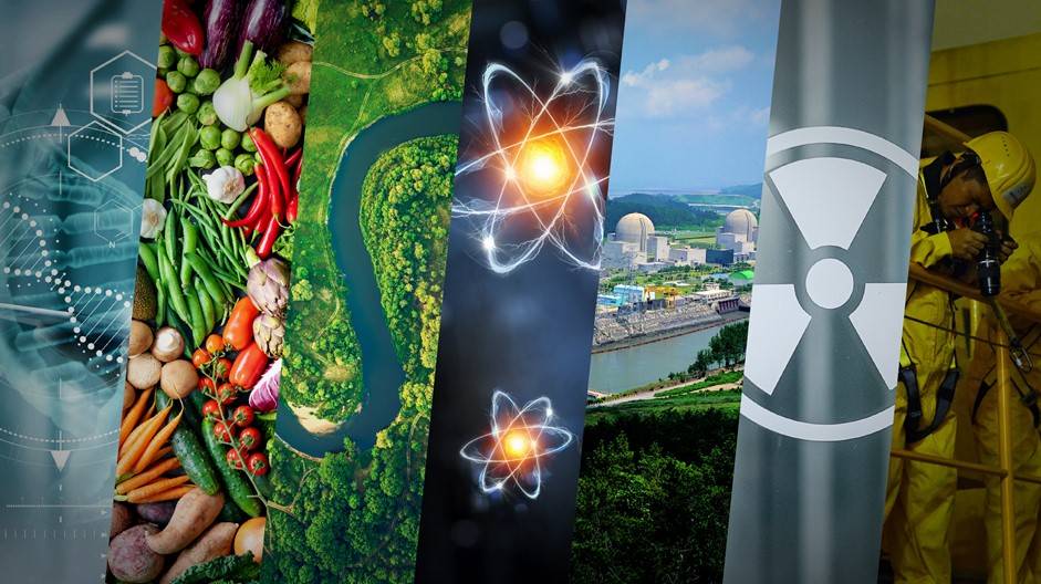 iaeaorg's tweet photo. How will #AI change #NuclearScience &amp; tech in the future? Perhaps:
❤️‍🩹 Human health
🌽 Food &amp; agriculture
💧 Water &amp; the environment
⚛️ Science &amp; fusion research
⚡️ Energy
🛡️ Security &amp; radiation protection
🕵️ Safeguards
👉 https://t.co/egWuVWIL7T https://t.co/SEte50cwRq