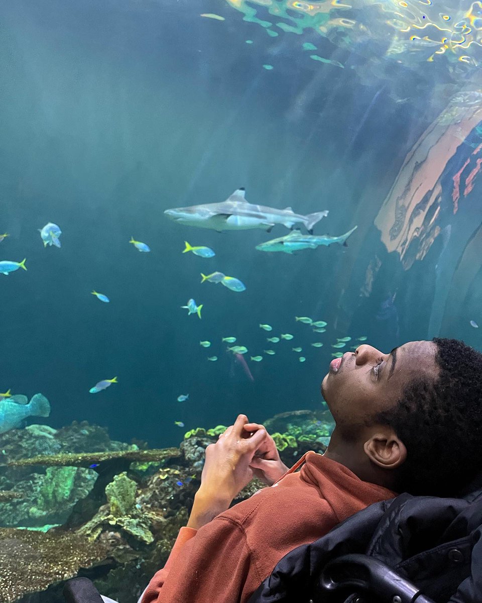 MarklundCharity's tweet photo. Marklund Under The Sea!
Residents got up close with aquatic life to learn about ecosystems at the @shedd_aquarium. Staff observed how excited and engaged everyone got as they saw the remarkable views & learned about exploring the ocean.
#newadventures #wefoundnemo #everydaylife https://t.co/6udIigJNCi