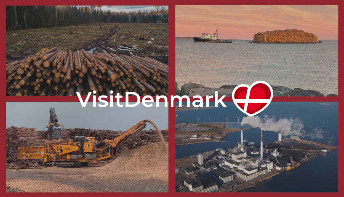 Johan Christian Sollid tweet media