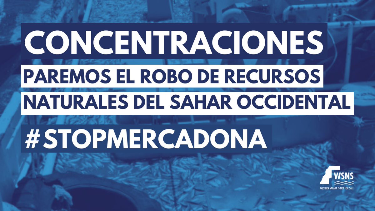 🔴Este jueves, salimos a la calle para DENUNCIAR EL ROBO Y EXPOLIO DE LOS #RECURSOS NATURALES SAHARAUIS con concentraciones en diferentes ciudades del Estado Español. #ElSáharaOccidentalNoEstáEnVenta #StopMercadona #SaharaOccidental Abrimos hilo con convocatorias: 👇🏽