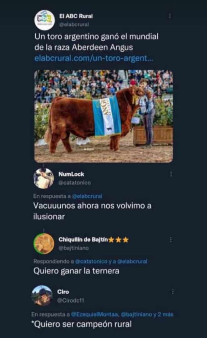 ComplexJalle's tweet photo. 💙🤍💙 😂 https://t.co/kMczp7Vlnt