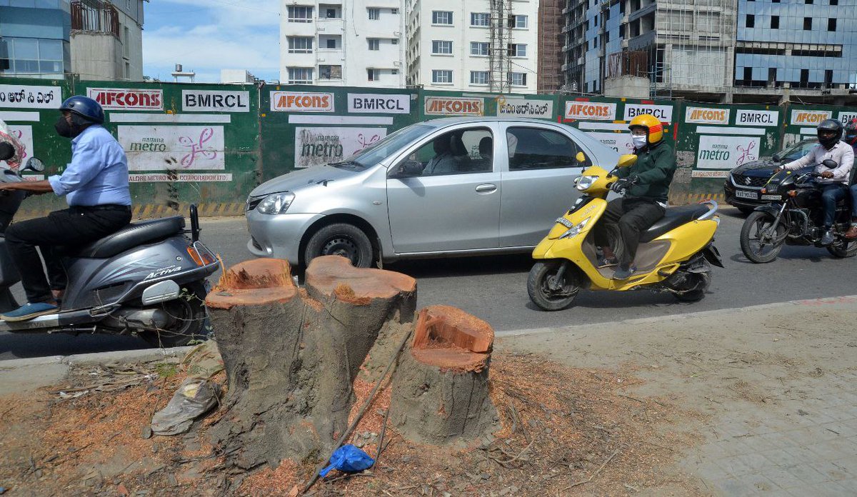 anil_lulla's tweet image. Last night, 80 trees were axed  between Silk Board &amp;amp; HSR Layout for #NammaMetro work. #Photos @robert_mc76 #development