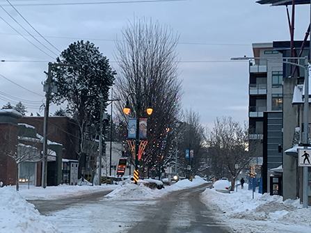 TownshipOfEsquimalt tweet media