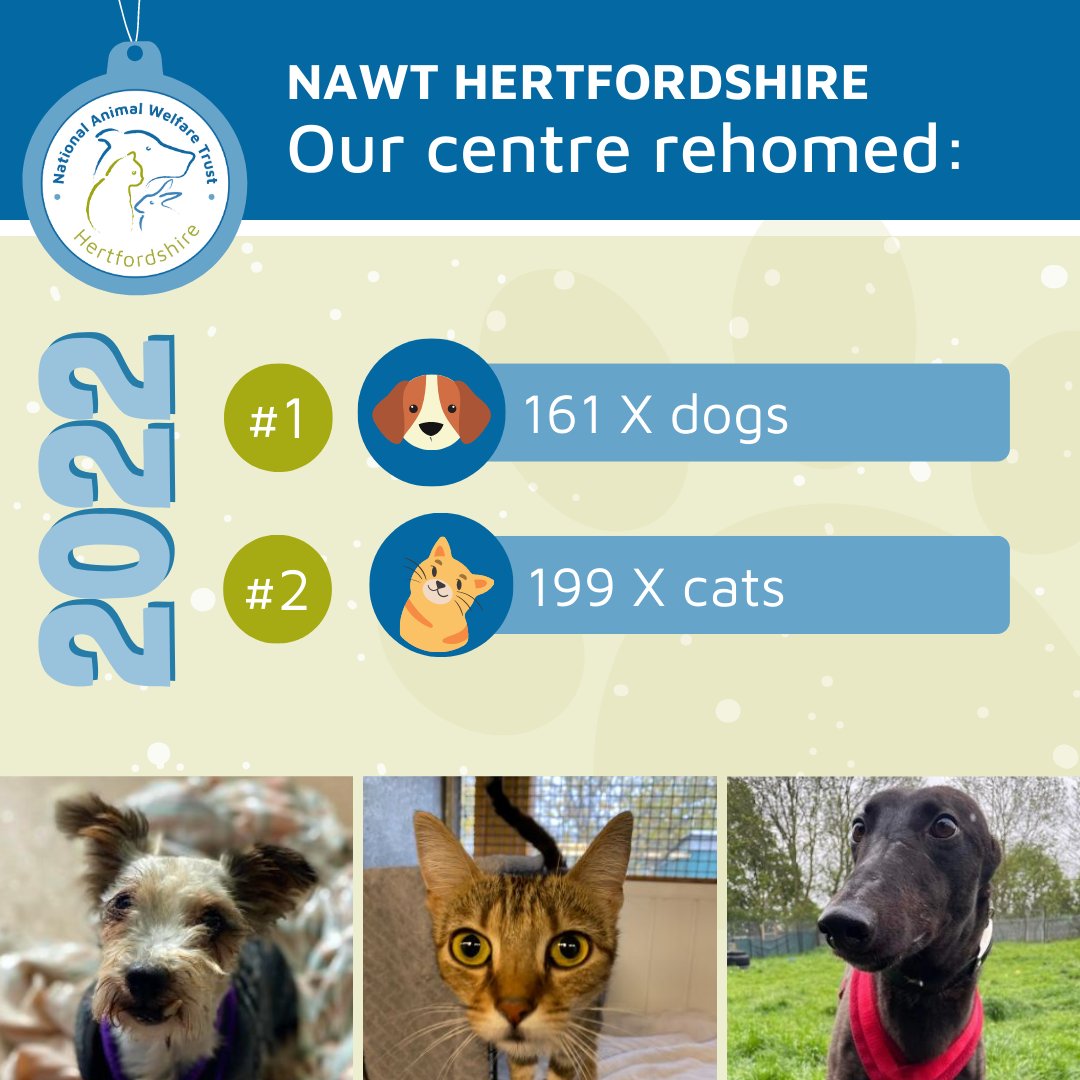 NAWT_updates's tweet photo. With 2022 drawing to a close, we wanted to look back over what you have helped us achieve this past year. 📆✨
Here is how many dogs and cats each of our centre's have rehomed in 2022. 💙🐾
#HappyNewYear #nawt #rehoming #homelessdogs #homelessanimals #animalcharity https://t.co/kLRwjWpgJ6