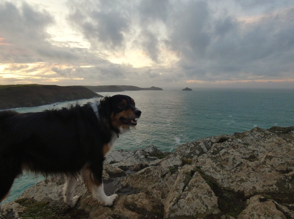 CliffsideKatie's tweet photo. Last light, Winter Solstice. Hello (slightly) longer days ð #Trevan #WinterSolstice #ShortestDay #lastlight https://t.co/d3A7XVF130