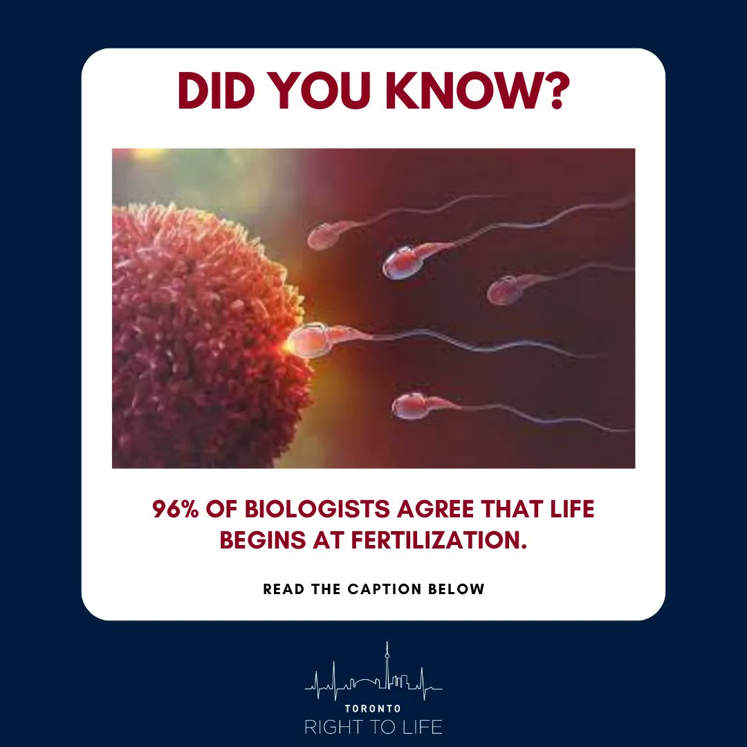 righttolifeTO's tweet photo. In a study conducted by Steve Jacobs, a Ph.D student at the University of Chicago, he found that 5,337 biologists (96%) affirmed that a human’s life begins at fertilization. ~
#prolifeTO #prolife #prochoice #abortion #womensright #humanrights #endthekilling #toronto #canada https://t.co/8GGVWjEuBW