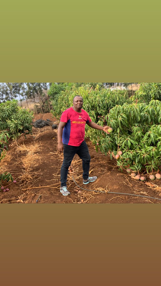 It is possibly to venture into agri business  and get good returns